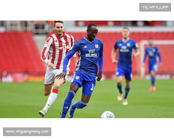 从历史到现在揭秘加的夫城所处英格兰足球联赛级别与竞争格局全解析